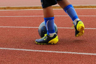 打造体育与文化融合传播新平台，文化与体育结合一起的口号